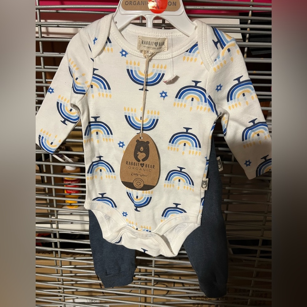 Rabbit + bear organic Infant 0-3 months 2 piece outfit (Hanukkah) nwt